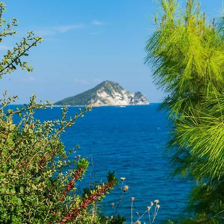 Harmony Κερί