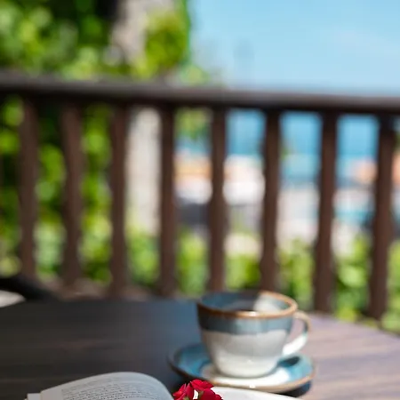 Harmony Hotel 4*